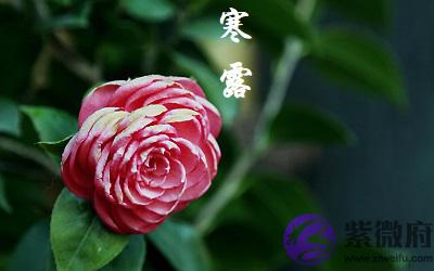 020年寒露节气巳时生人五行缺什麽,是什麽命?"