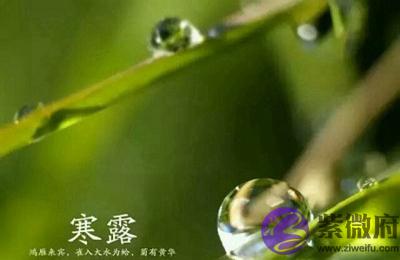 020年10月8日寒露节气出生的男孩好吗？"