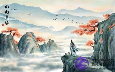 020鼠年重阳节子时出生宝宝命理及喜用神解析"