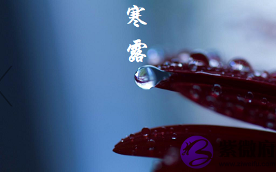 宝宝在2020年八月二十二寒露节气子时出生命运如何？