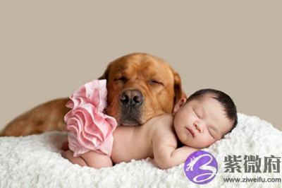 宝宝在2020年寒露后一天八月二十三日求嗣适合吗?出生命运如何?