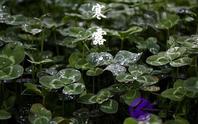 020年寒露节气丑时出生的宝宝命好不好，五行分析"
