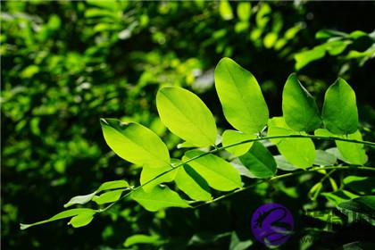 四柱神煞墓库是什麽意思?八字墓库怎麽看?