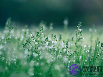 宝宝在四柱神煞对论命重要吗?命犯孤鸾如何化解?出生是什幺命?
