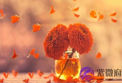 宝宝在四柱神煞排盘@¥免费版哪里有?神煞天乙是最好的?出生好吗?