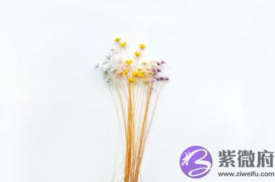 宝宝在四柱神煞太极文昌将星分别代表了什麽？出生是什幺命？