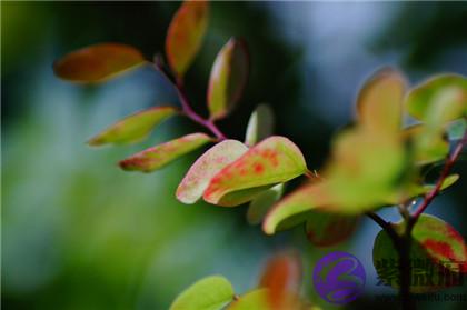 四柱神煞不好的人怎麽办?四柱神煞和八字算命的关系?
