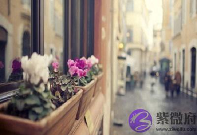 四柱神煞日柱华盖童子是什麽意思?华盖入命好不好?