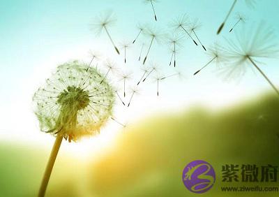 四柱神煞福德贵人的正确查法,福德贵人就是福星贵人吗?