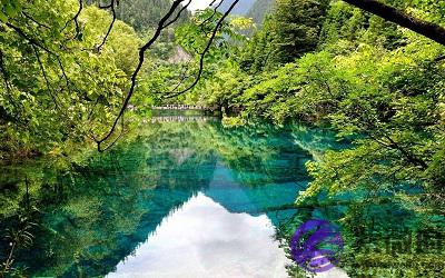宝宝在四柱神煞三个华盖好不好?华盖的查法和特征出生命运如何?
