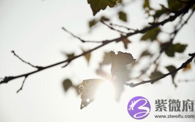 四柱神煞十干禄就是禄神吗?禄神分几种?