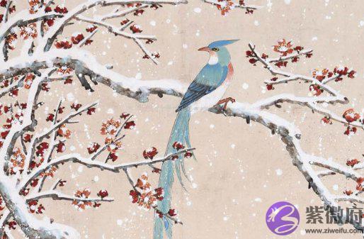 生辰八字:2021金牛年正月十五出生的女孩好吗,荣华富贵,安享晚年
