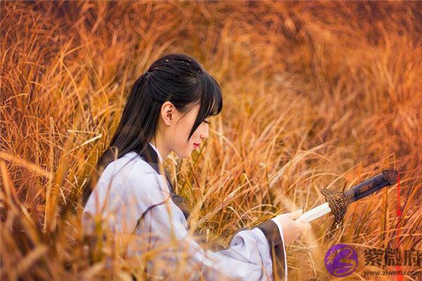丁巳年五行属什麽