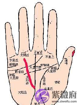 认识手相 .jpg