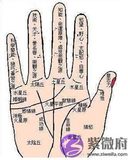 哪些手相是超级闷骚狂。jpg