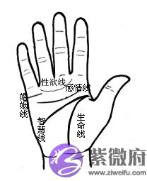 [URL]1154d71fc52b9994c8eb93e0bdd6a6ab.jpg