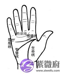 [URL]95fd49cc28374ec3d3390017a9ed206b.jpg