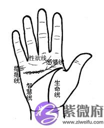[URL]8f33aa7b69e1e23d46afa3d1d92fe308.jpg