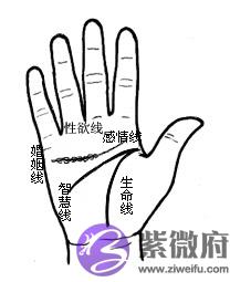 [URL]6faeffc752378bfae12d61f83263a850.jpg