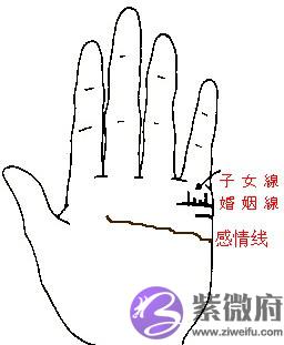 手相子女线看你生子运.jpg