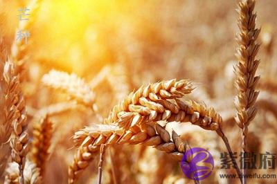 宝宝在2021牛年农历四月二十四日芒种前一天命好吗?出生好吗?
