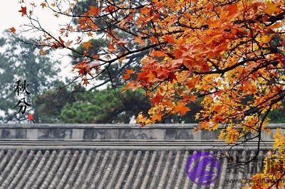 宝宝在属猪秋分吃秋菜?出生是什幺命?