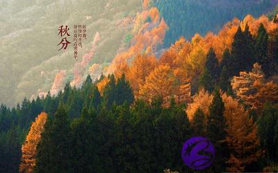 宝宝在秋分节气秋分为什麽吃鸭?出生命运如何?