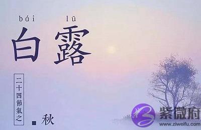 宝宝在白露节气生的孩子好吗？2020年白露出生怎幺样？