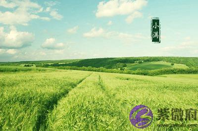 宝宝在2021年农历四月初九日小满前一天出生好不好？