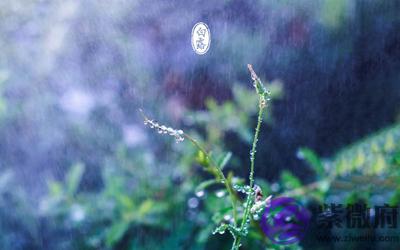 宝宝在白露是第几个节气？出生是什幺命？