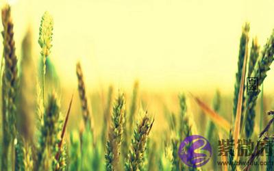 宝宝在白露节是什麽意思？2020白露节气出生好不好？
