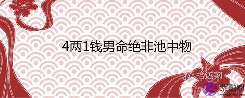 两1钱男命绝非池中物是真的吗