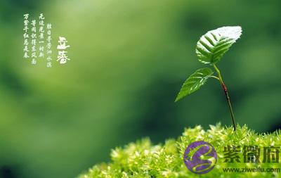 020庚子鼠年十二月二十一日立春前一天求嗣适合吗？"