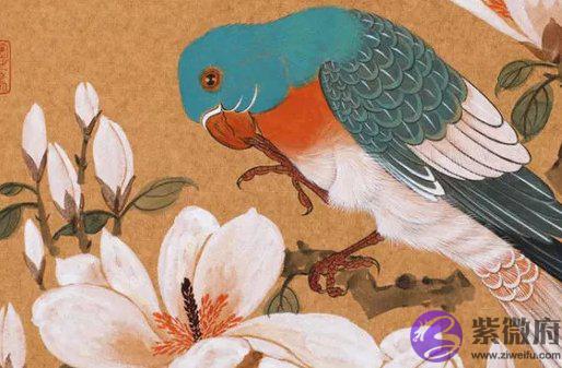 生辰命理:2021年元旦节出生的宝宝八字是什麽,属什麽生肖