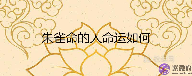 朱雀命的人命运如何 会大富大贵吗