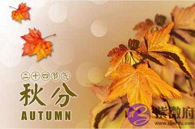 020年八月初六日秋分节气午时出生的宝宝命好吗？"