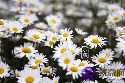 021辛丑年农历四月十一日小满后一天出生什麽命？"