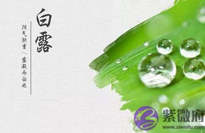 020年白露节气子时生人五行缺什麽，是什麽命？"
