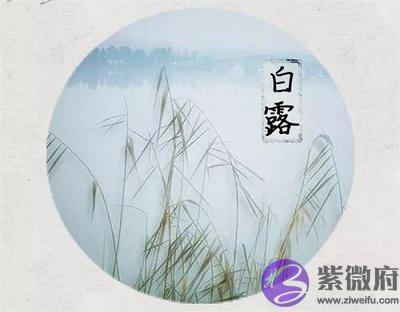 白露节气气候特征,2020白露出生的女孩有什麽说法?