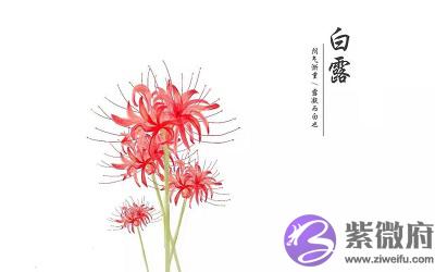 020年白露节气亥时出生的宝宝命好吗?"