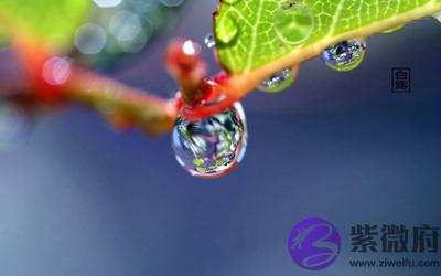 020年白露节气亥时出生的宝宝命好吗?"