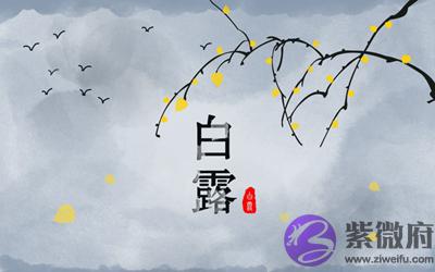 020年七月二十白露节气戌时喜用神解析命运如何?"