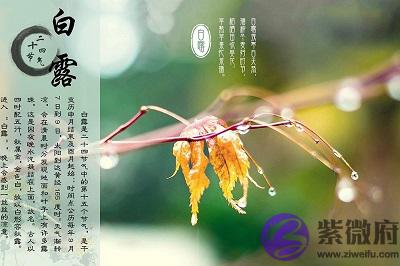 白露节是什麽意思？2020白露节气出生的宝宝好吗？
