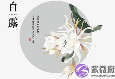 今年白露是几号？属狗人出生在白露节气命运顺不顺？