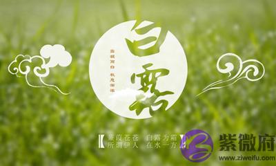 今年白露是几号？属狗人出生在白露节气命运顺不顺？