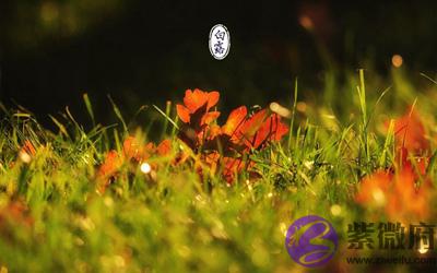 020庚子鼠年白露节气申时出生喜用神是什麽？"