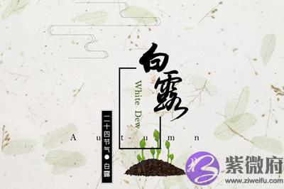 020年白露节气寅时出生的宝宝喜用神是什麽？"
