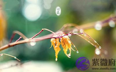 020年白露还要几天?属龙的人白露节气出生命怎样?"
