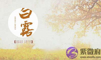 生肖属蛇的人白露节气出生命运好不好？