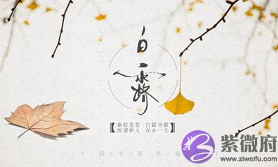 白露可以理发吗?猪年白露节气出生的人命运好不好?